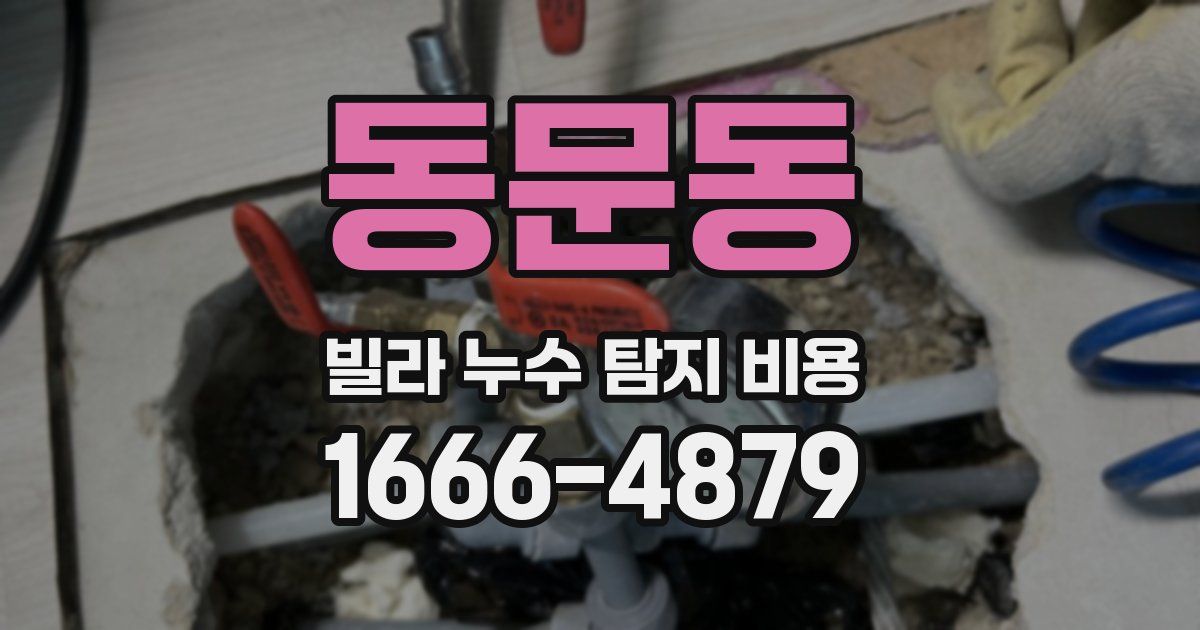 동문동 빌라 누수 탐지 비용