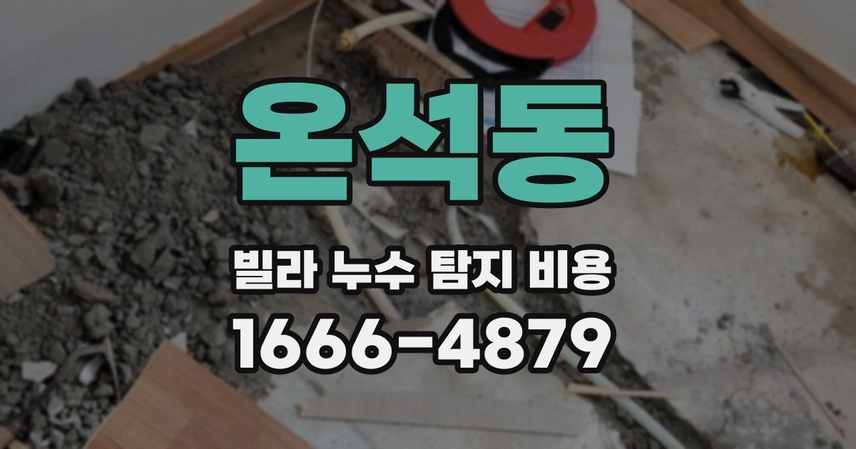 온석동 빌라 누수 탐지 비용