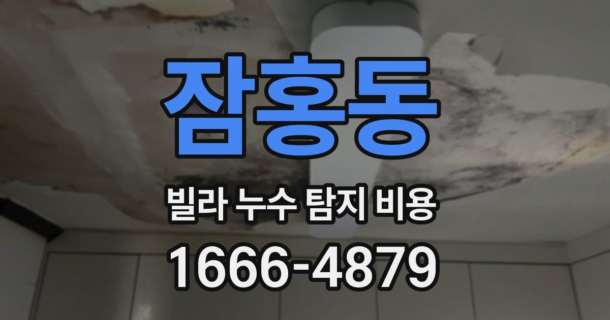 잠홍동 빌라 누수 탐지 비용