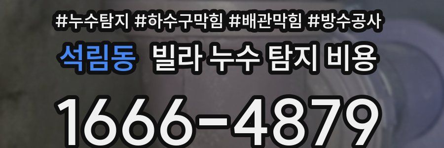 석림동 빌라 누수 탐지 비용
