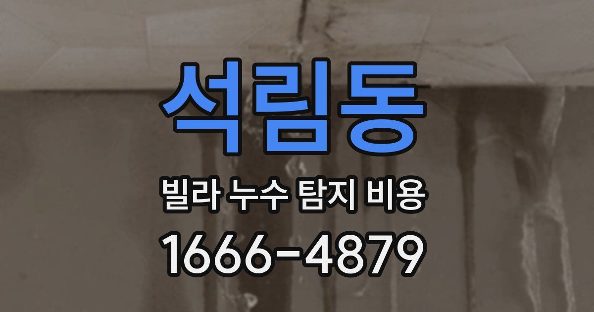 석림동 빌라 누수 탐지 비용