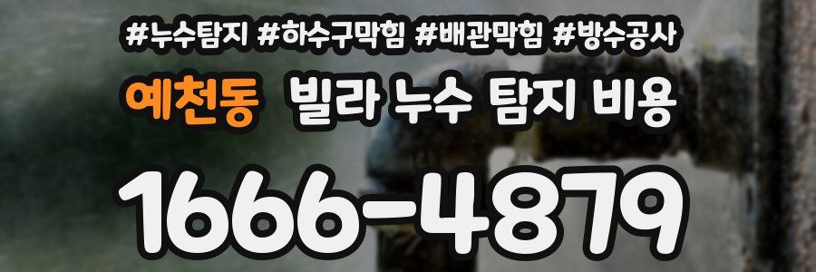 예천동 빌라 누수 탐지 비용