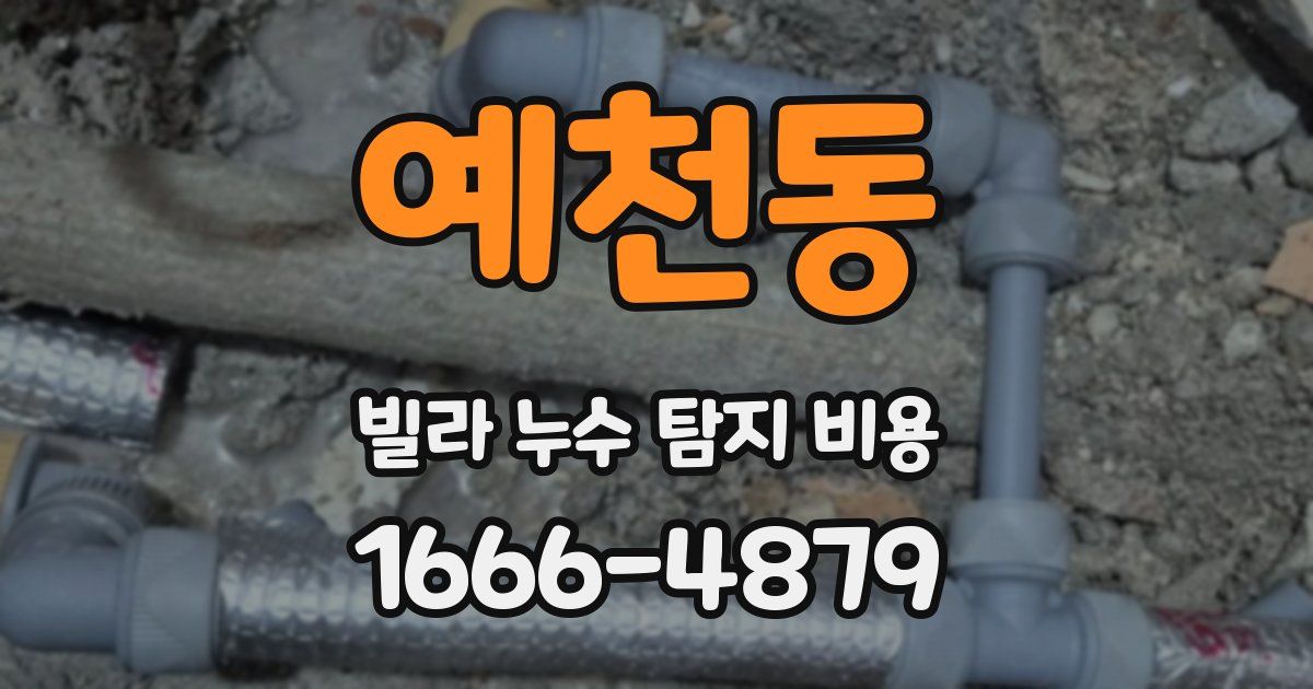예천동 빌라 누수 탐지 비용