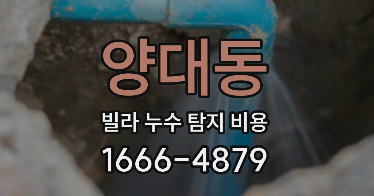 양대동 빌라 누수 탐지 비용