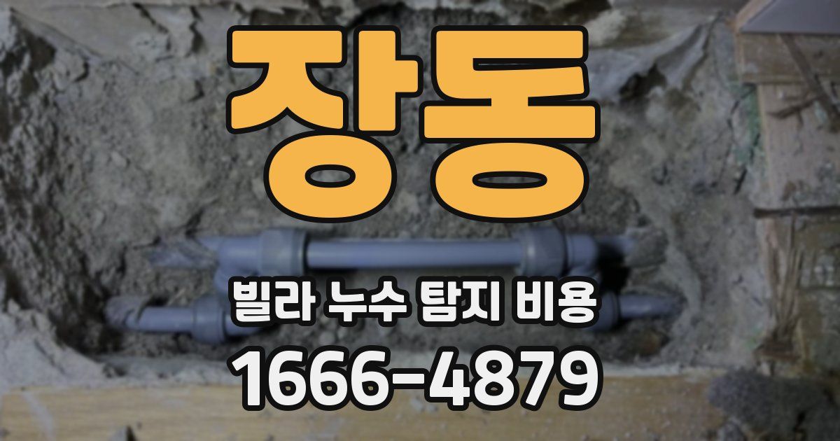 장동 빌라 누수 탐지 비용