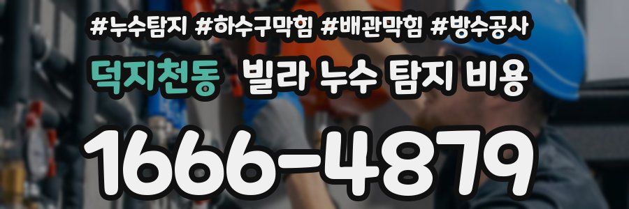 덕지천동 빌라 누수 탐지 비용