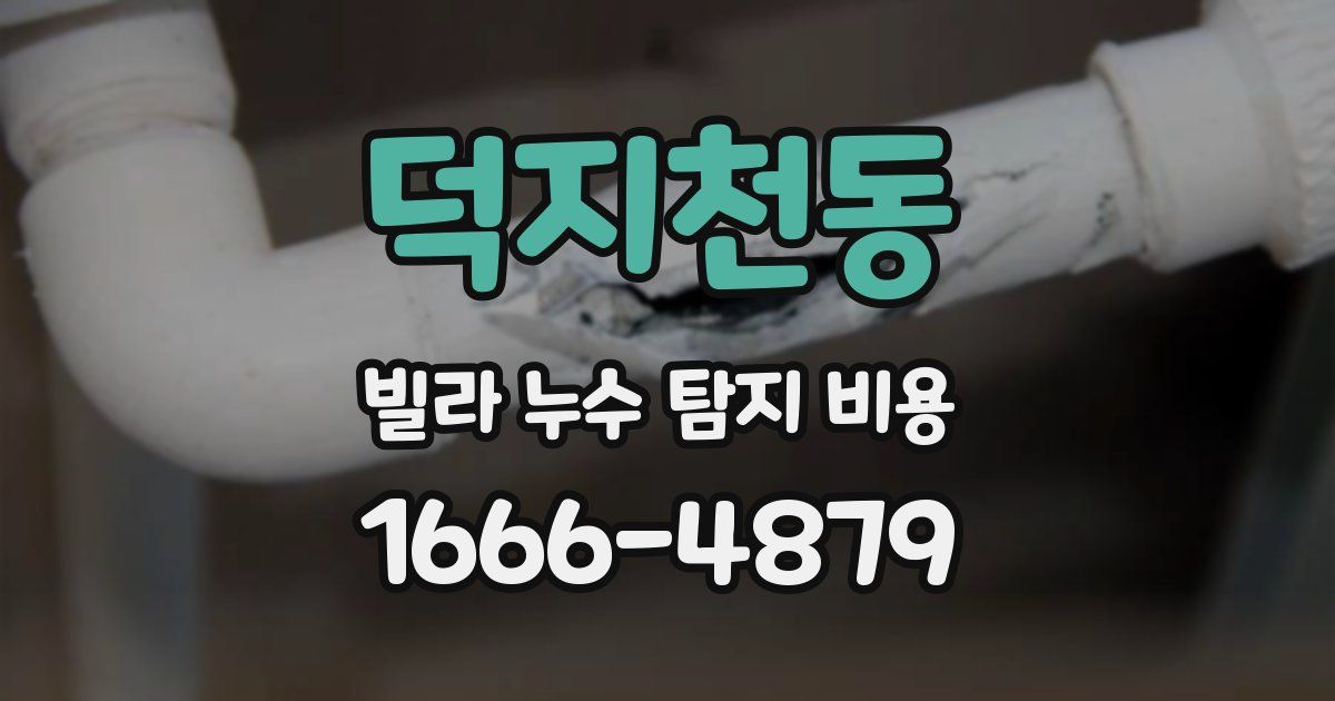 덕지천동 빌라 누수 탐지 비용