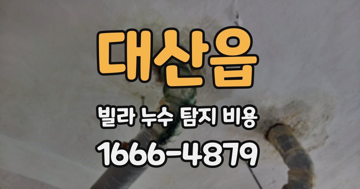대산읍 빌라 누수 탐지 비용