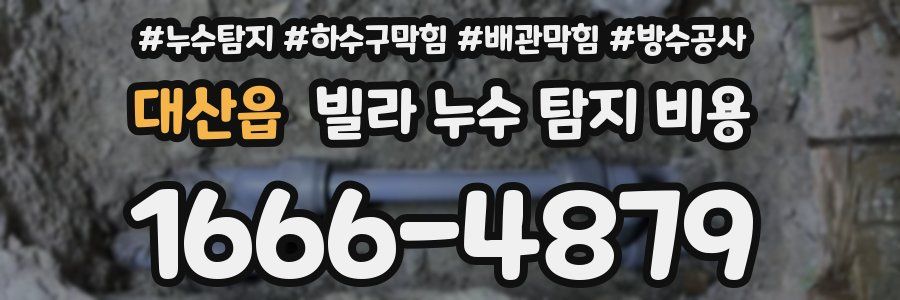 대산읍 빌라 누수 탐지 비용
