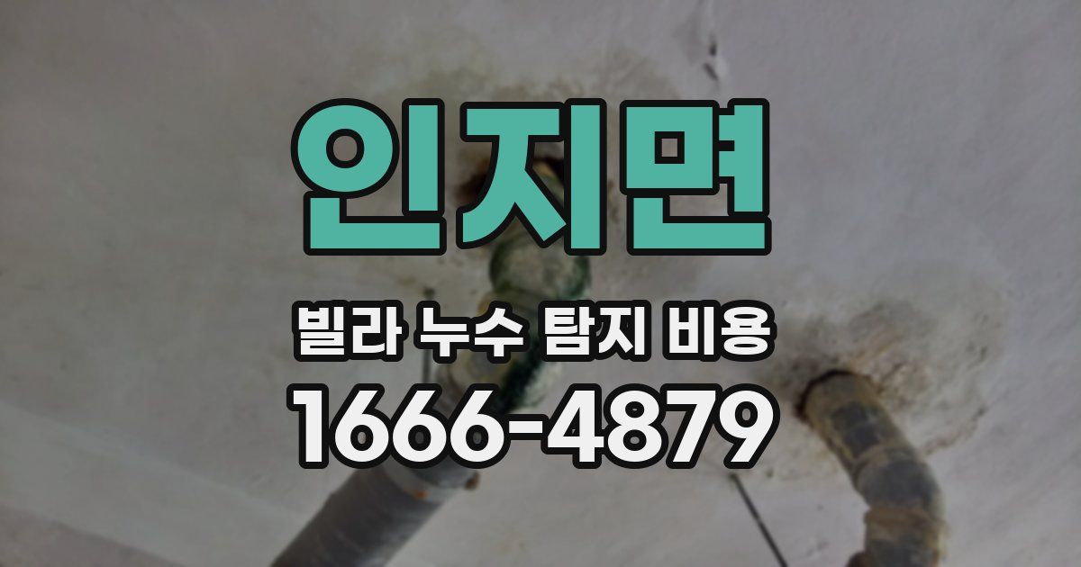 인지면 빌라 누수 탐지 비용