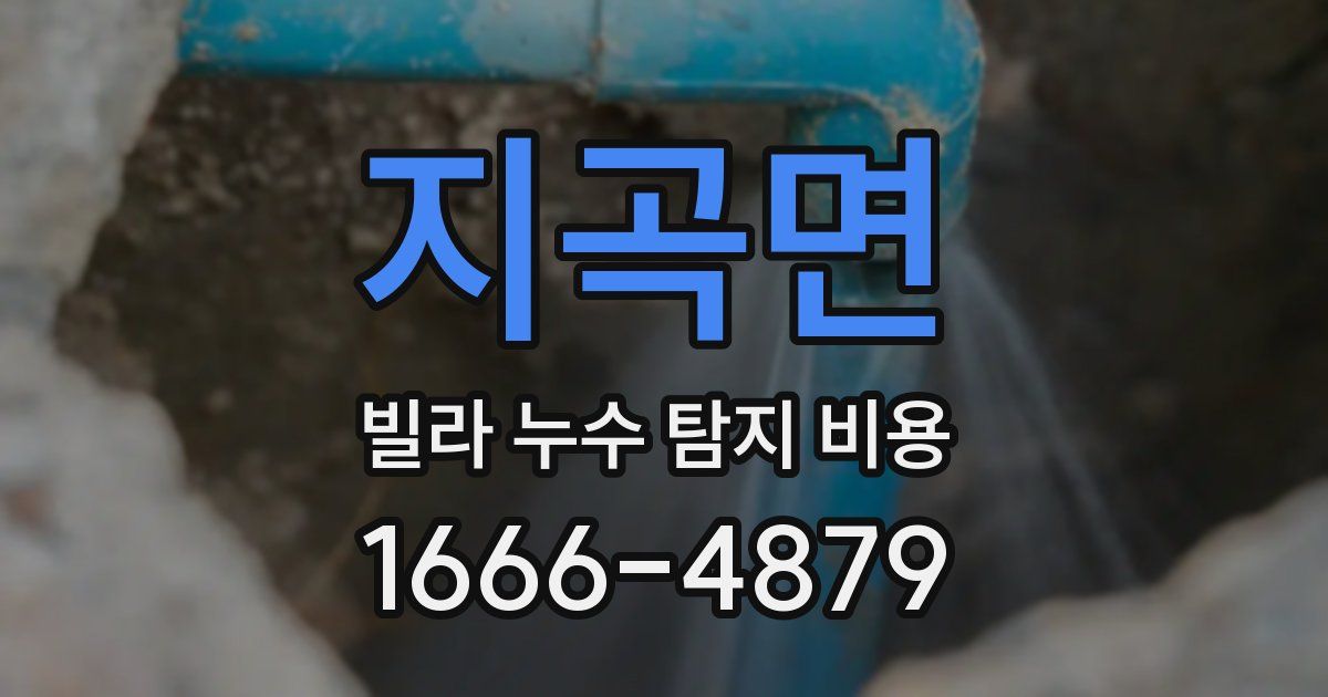 지곡면 빌라 누수 탐지 비용