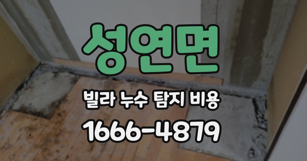 성연면 빌라 누수 탐지 비용