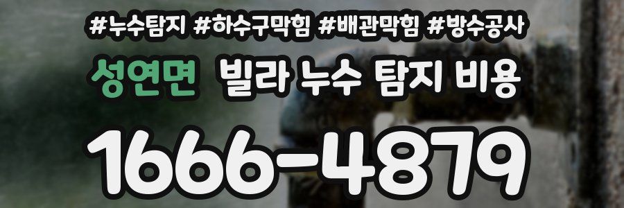 성연면 빌라 누수 탐지 비용