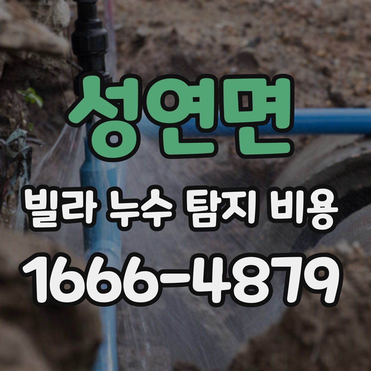 성연면 빌라 누수 탐지 비용