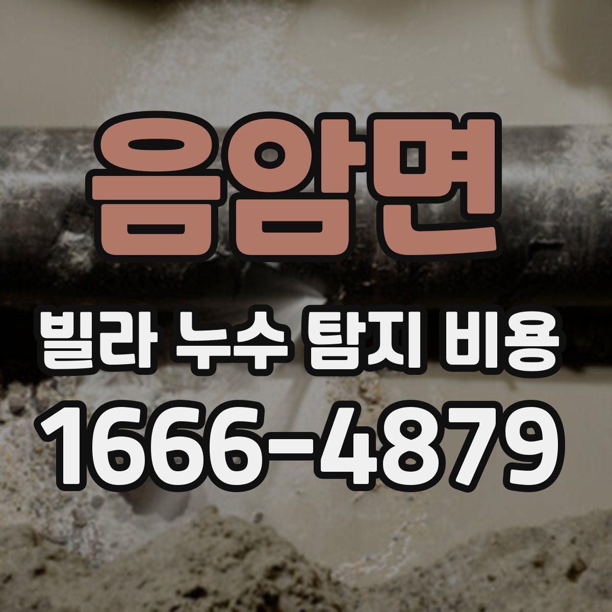음암면 빌라 누수 탐지 비용