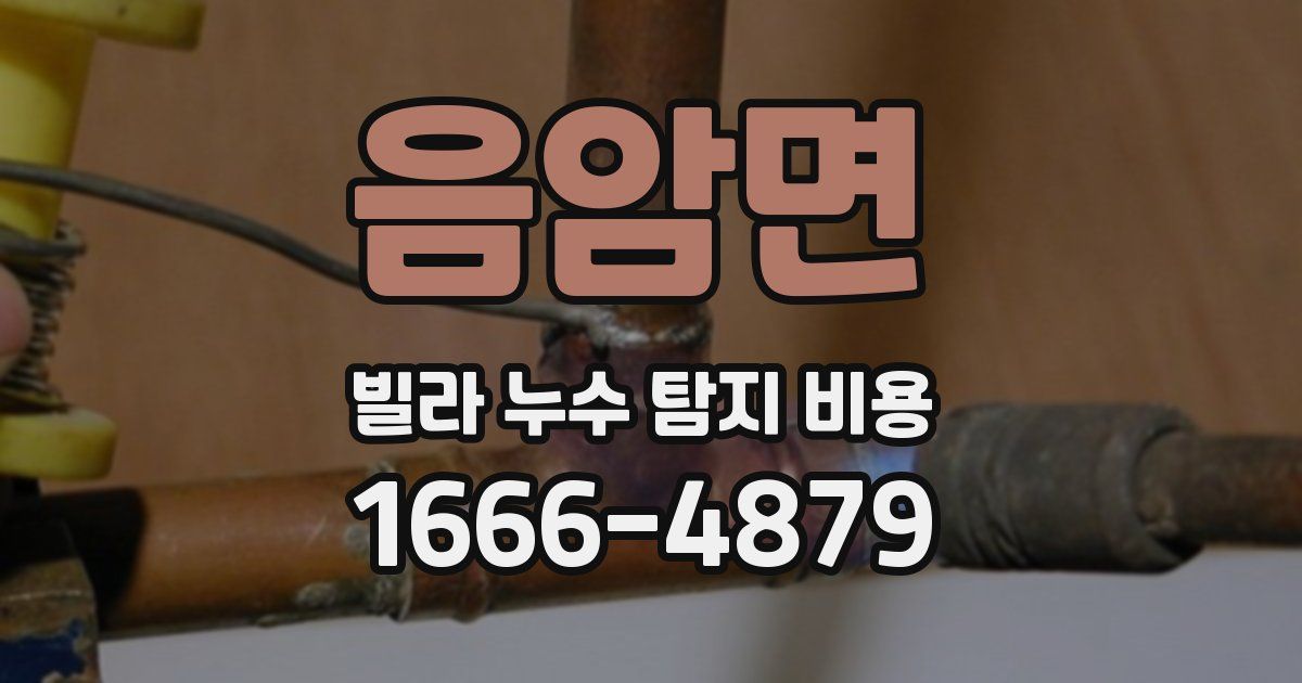 음암면 빌라 누수 탐지 비용