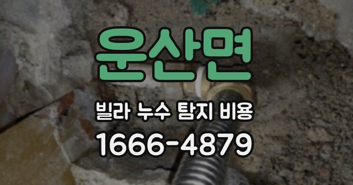 운산면 빌라 누수 탐지 비용