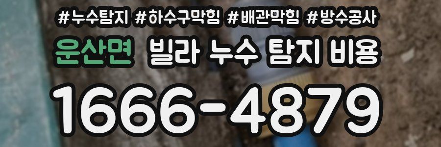 운산면 빌라 누수 탐지 비용
