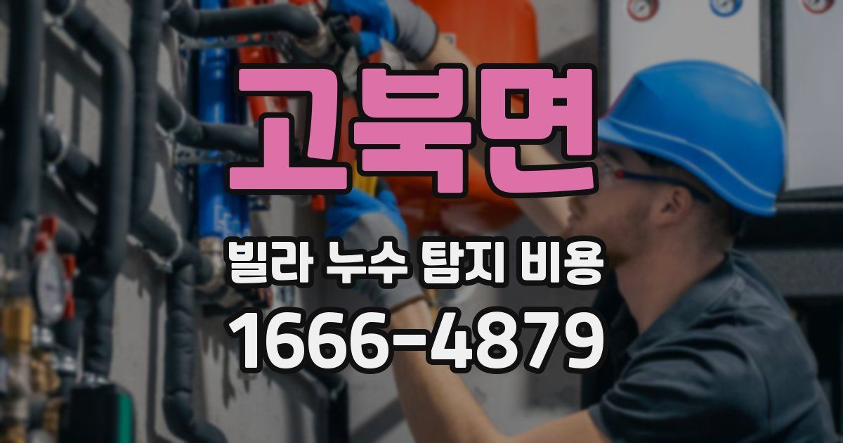 고북면 빌라 누수 탐지 비용