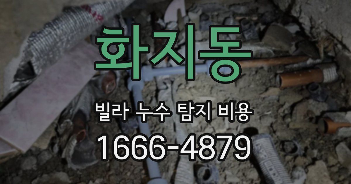 화지동 빌라 누수 탐지 비용