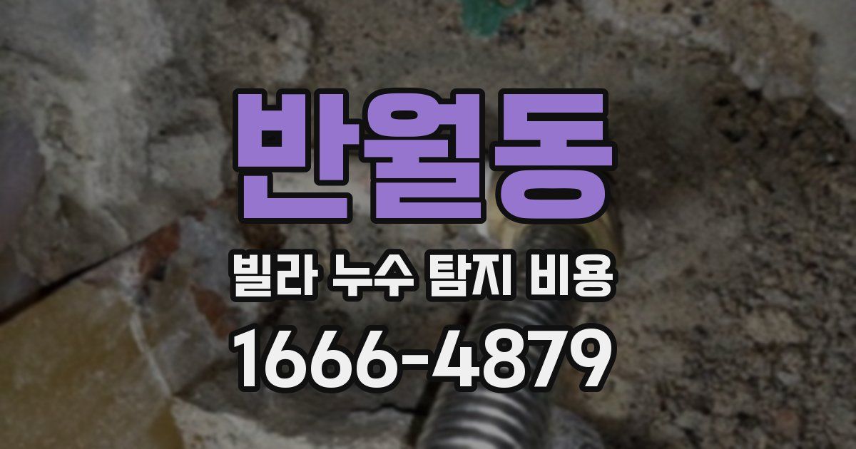 반월동 빌라 누수 탐지 비용