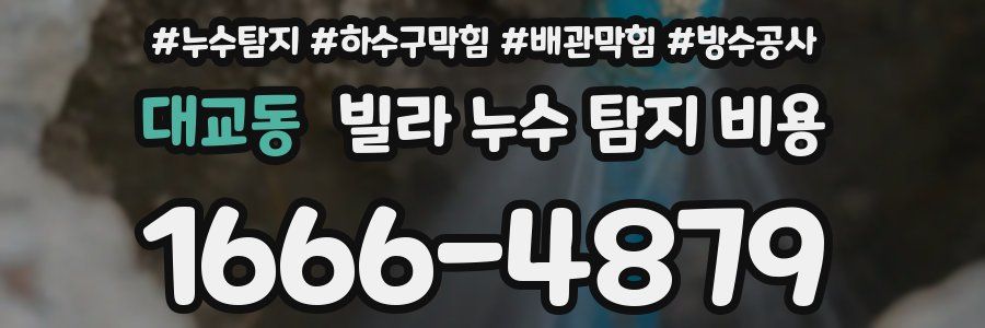대교동 빌라 누수 탐지 비용