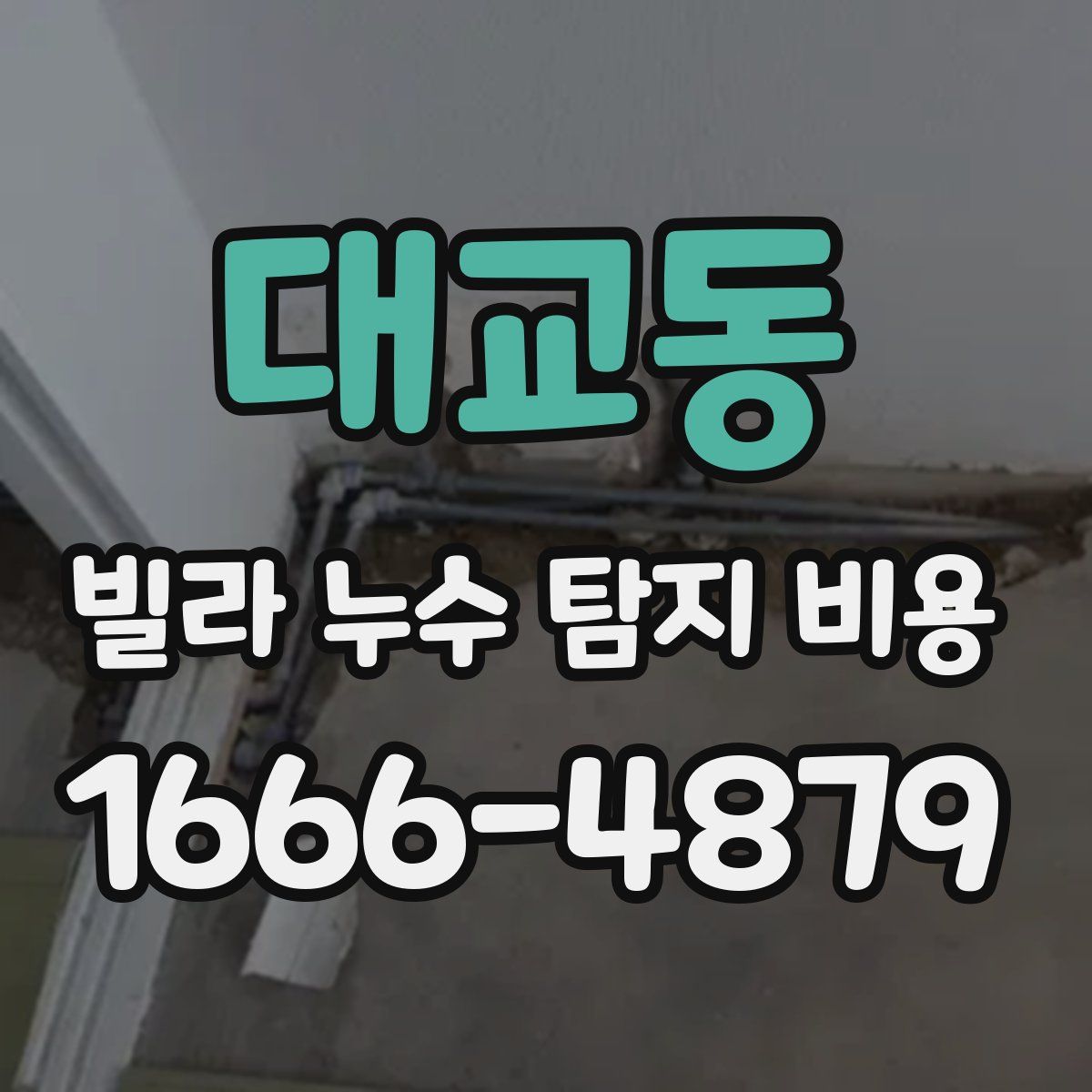 대교동 빌라 누수 탐지 비용
