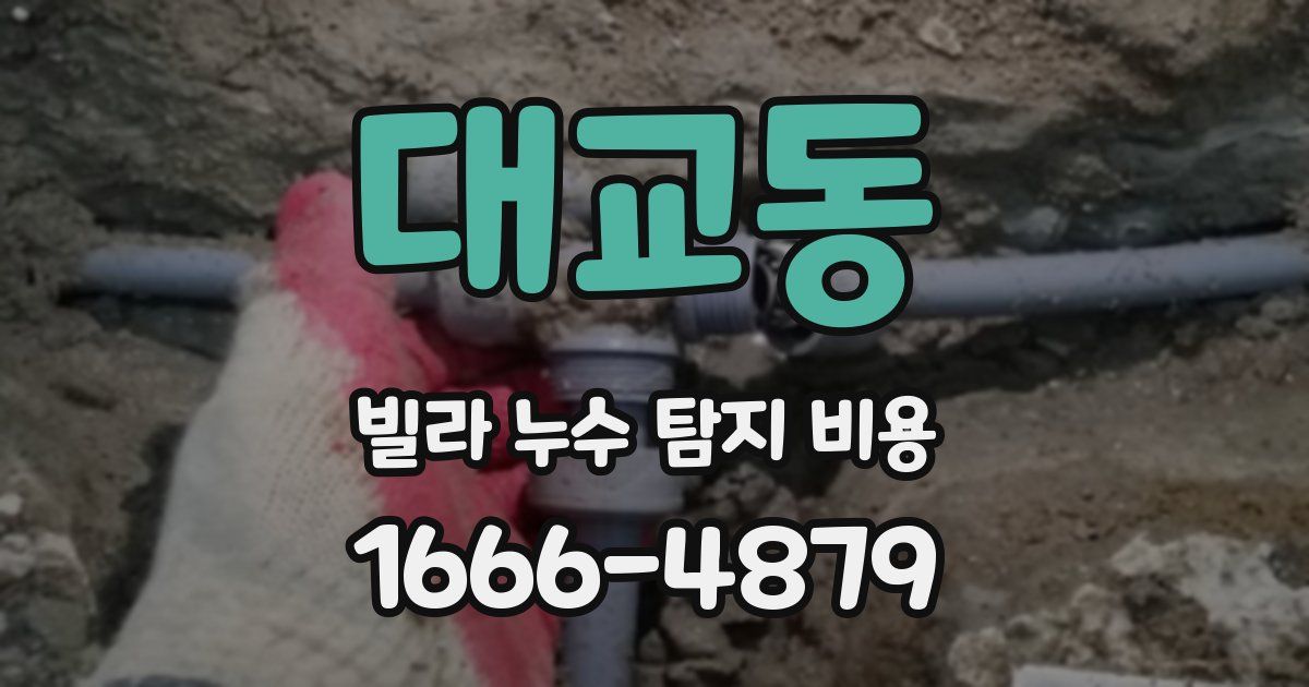 대교동 빌라 누수 탐지 비용