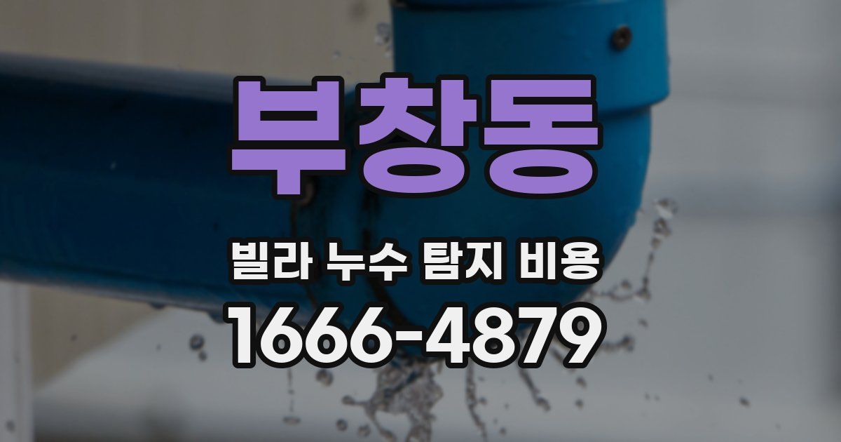 부창동 빌라 누수 탐지 비용