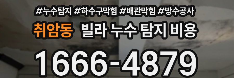 취암동 빌라 누수 탐지 비용
