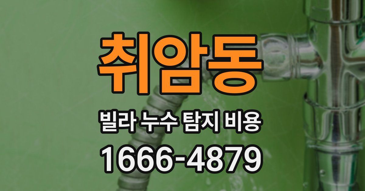 취암동 빌라 누수 탐지 비용