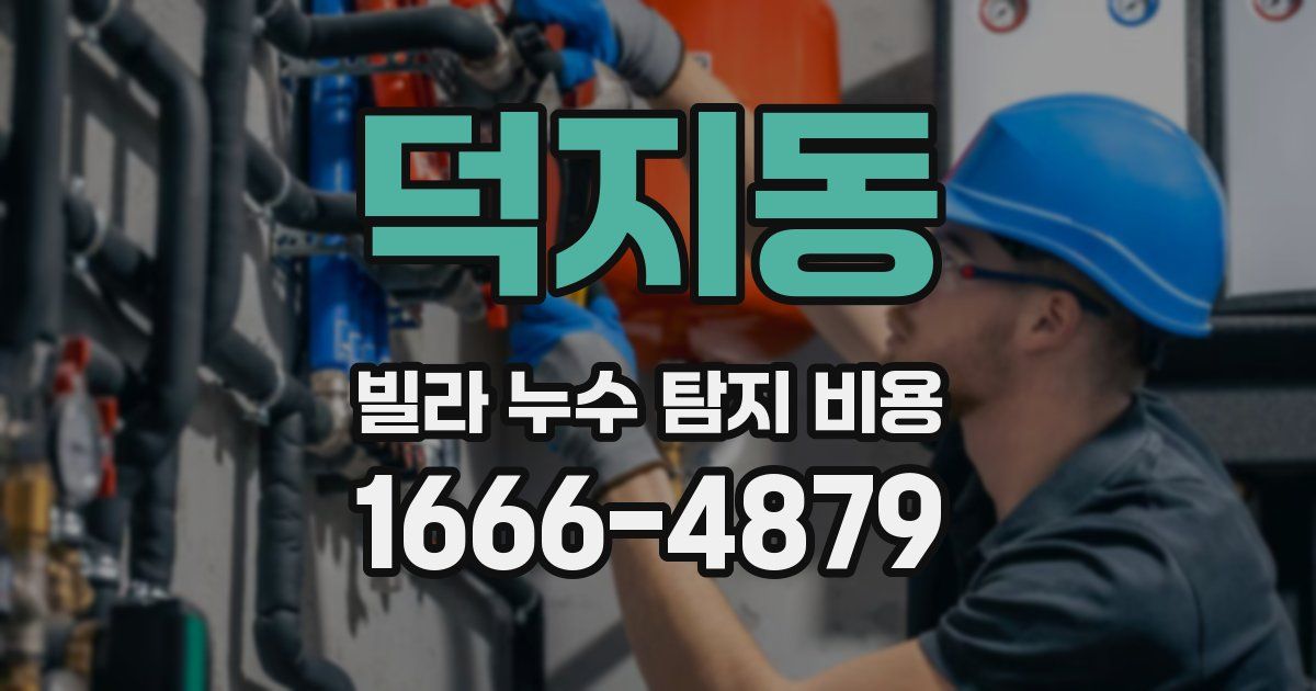 덕지동 빌라 누수 탐지 비용