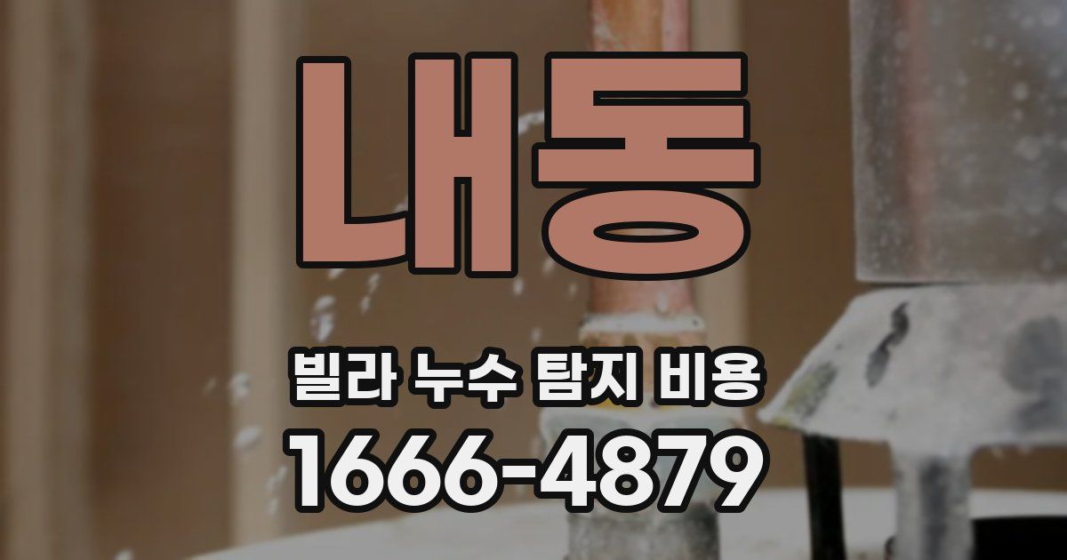 내동 빌라 누수 탐지 비용