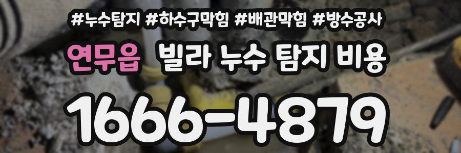 연무읍 빌라 누수 탐지 비용