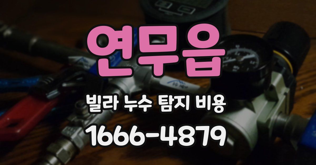 연무읍 빌라 누수 탐지 비용
