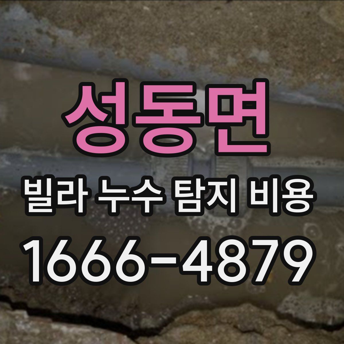 성동면 빌라 누수 탐지 비용