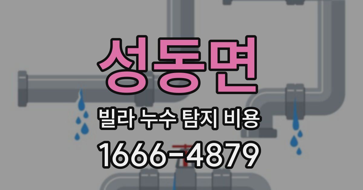 성동면 빌라 누수 탐지 비용
