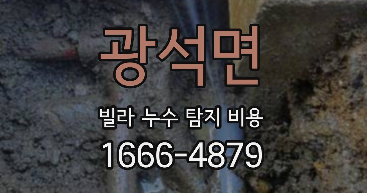 광석면 빌라 누수 탐지 비용
