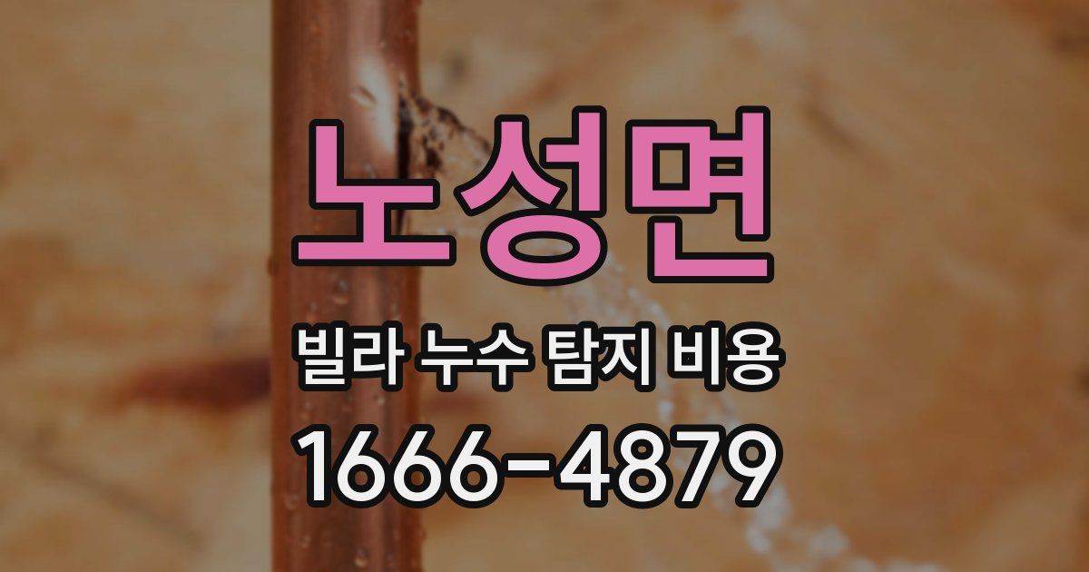 노성면 빌라 누수 탐지 비용