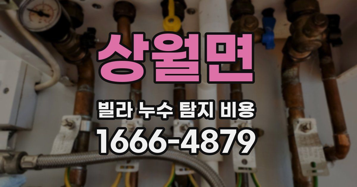 상월면 빌라 누수 탐지 비용
