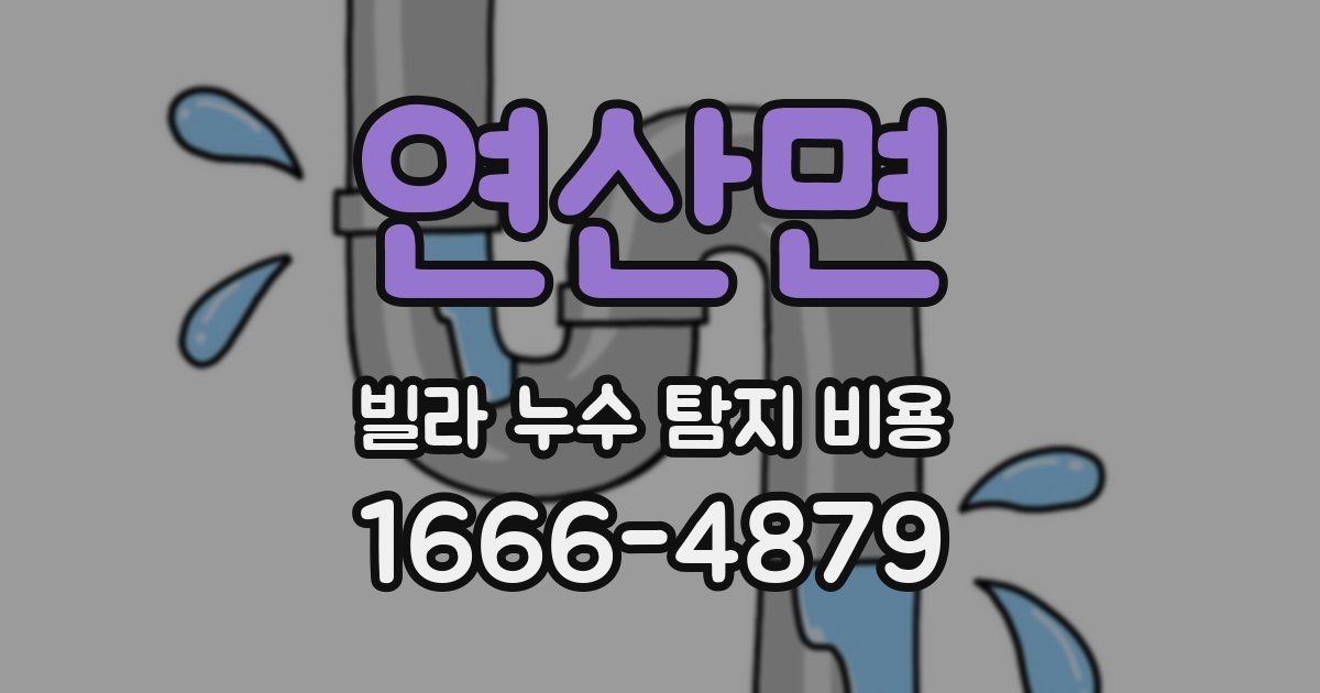 연산면 빌라 누수 탐지 비용