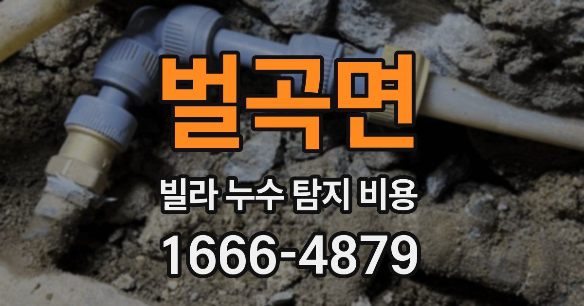 벌곡면 빌라 누수 탐지 비용