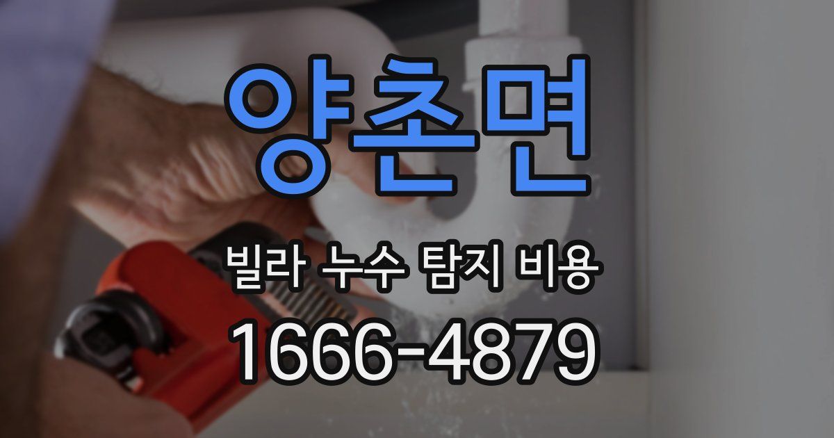 양촌면 빌라 누수 탐지 비용