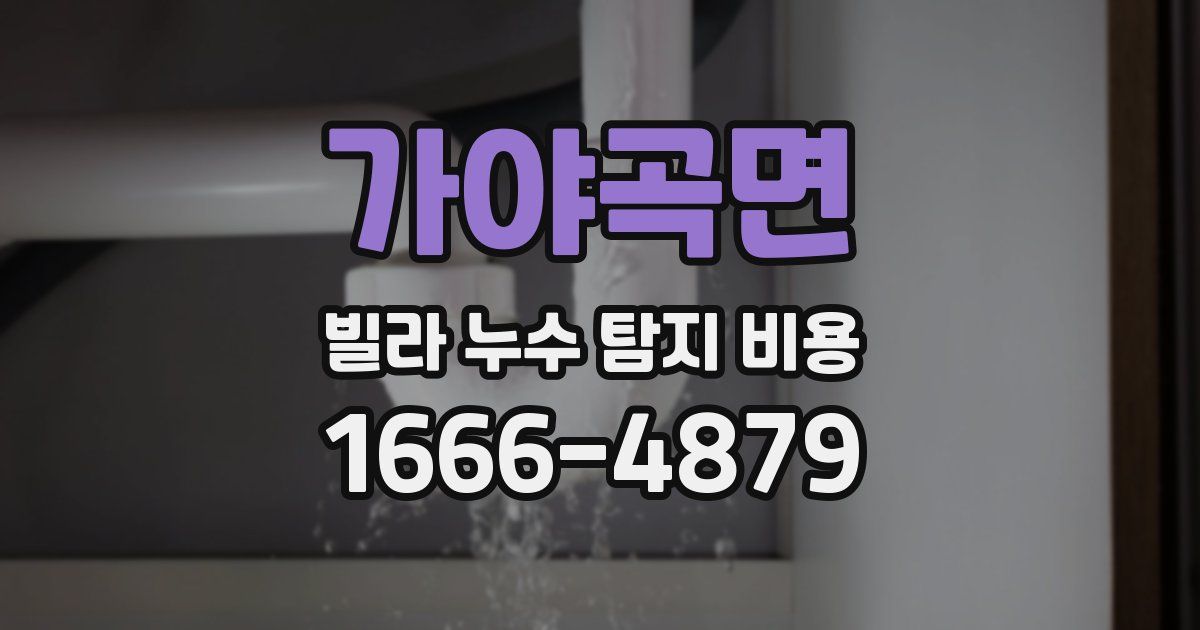 가야곡면 빌라 누수 탐지 비용