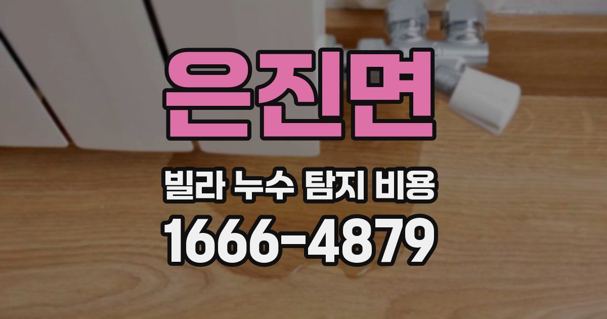 은진면 빌라 누수 탐지 비용