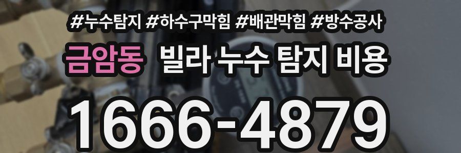 금암동 빌라 누수 탐지 비용