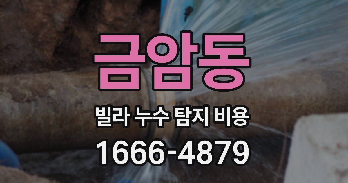 금암동 빌라 누수 탐지 비용