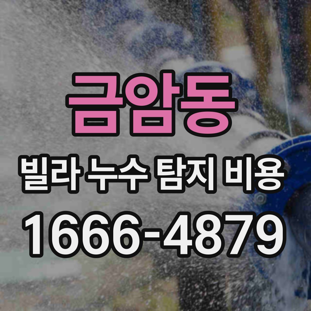 금암동 빌라 누수 탐지 비용