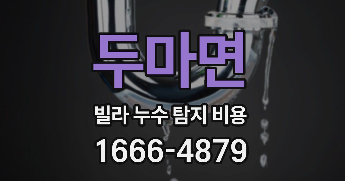 두마면 빌라 누수 탐지 비용