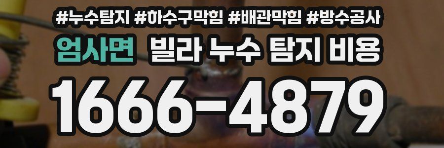 엄사면 빌라 누수 탐지 비용